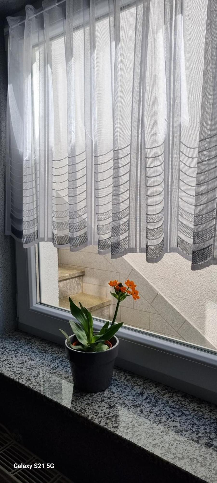 Ferienwohnung Elefanten 巴林根 外观 照片